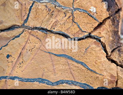 Der verbrannte Berg Rock Probe in Twyfelfontein Damaraland Namibia Stockfoto