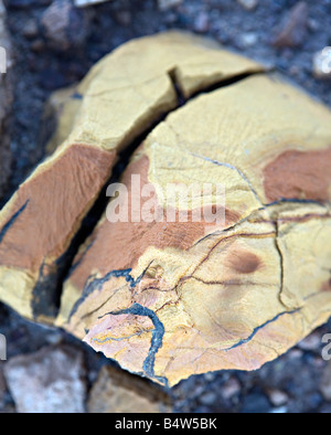 Der verbrannte Berg Rock Probe in Twyfelfontein Damaraland Namibia Stockfoto