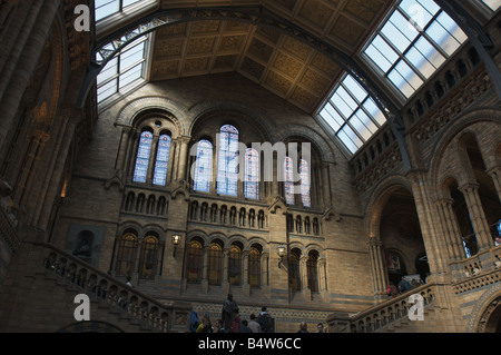 Innere des Natural History Museum, London, Vereinigtes Königreich Stockfoto