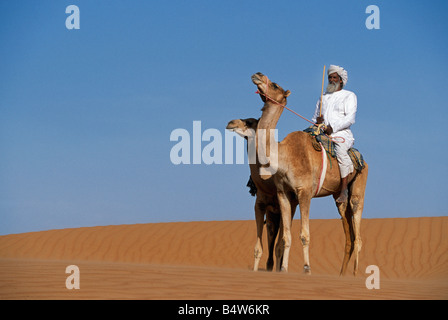 Oman, Sharqiyah, Wahiba Sands. Eine Beduinen mit seinen Kamelen in der Wüste Stockfoto