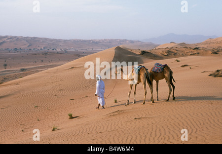 Oman, Sharqiyah, Wahiba Sands. Eine Beduinen führt seinen Kamelen durch die Sanddünen in der Wüste Stockfoto