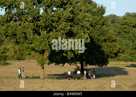 Gruppe von Menschen zu Fuß im Park auf eine Herbst Sonntagnachmittag, Nonsuch Park Cheam, (Südwesten von London), Surrey, England Stockfoto