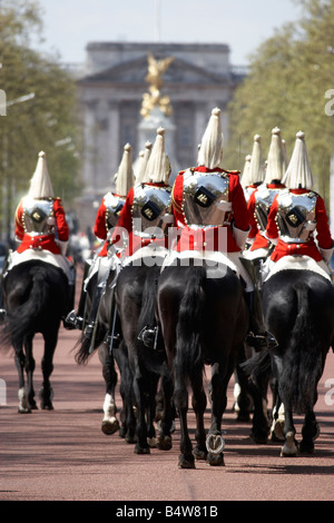 Gruppe von berittenen Soldaten der Household Cavalry von der Leibgarde-Regiment auf The Mall CIty of Westminster SW1 London Engl Stockfoto