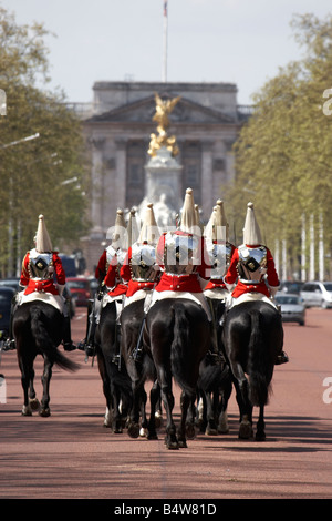Gruppe von berittenen Soldaten der Household Cavalry von der Leibgarde-Regiment auf The Mall CIty of Westminster SW1 London Engl Stockfoto