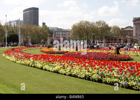 Tulpen und andere Blumenbeete im St James s Park CIty of Westminster SW1 London England Stockfoto