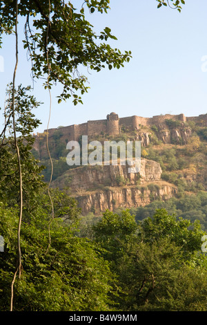 Die Ruinen von Ranthambore Fort gesehen aus dem Nationalpark, Rajasthan, Indien Stockfoto
