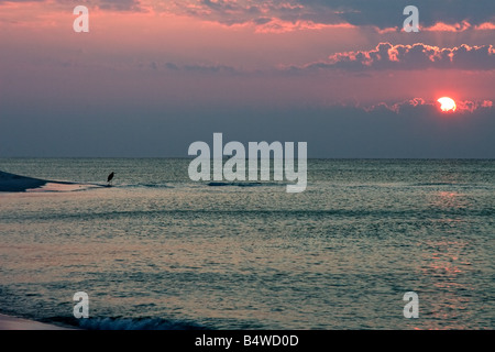 Sonnenaufgang über den Strand am Golf von Mexiko mit schönen farbigen Himmel und Great Blue Heron im Hintergrund Stockfoto