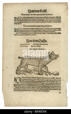 Zoologie/Tiere, Lehrbücher, "Historia animalium", von Conrad Gessner, Zürich, Schweiz, 1551 - 1558, Eurasischer Luchs (Lynx Lynx), Holzschnitt, Stockfoto