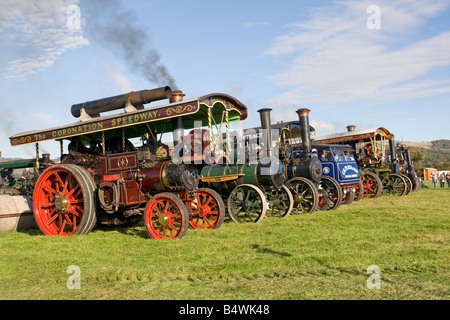 Aufstellung der Reihe Dampf-Lokomobile 2008-Rallye Cheltenham Racecourse UK Stockfoto