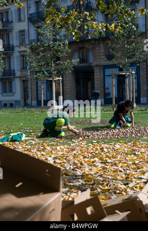 Parks und Erholung Arbeiter Tulpenzwiebeln für das nächste Frühjahr Pflanzung Stockfoto