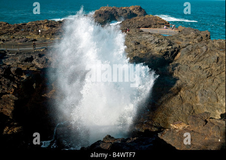 IN NEW SOUTH WALES AUSTRALIEN KIAMA BLOWHOLE Stockfoto