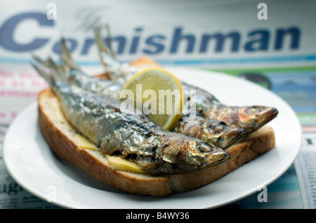 Kornische Sardinen auf toast Stockfoto