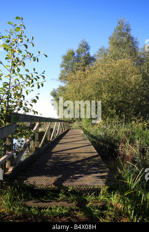 Fußgängerbrücke über den Deich aus Hardley Flut an den Fluss Chet Wherrymans unterwegs in Langley mit Hardley, Norfolk, Großbritannien. Stockfoto