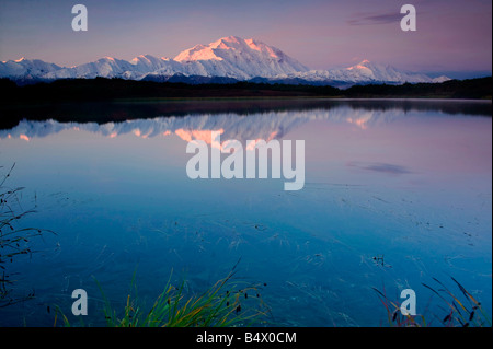 Mount Mckinley aus Reflexion Teich, Denali-Nationalpark, Alaska Stockfoto