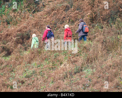 Zwei Erwachsene und zwei Kinder zu Fuß entlang einem Feldweg durch die Bracken, Cornwall Stockfoto