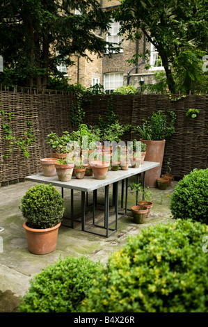 Gartentisch mit Pflanzen und Pflanzgefäßen Stockfoto