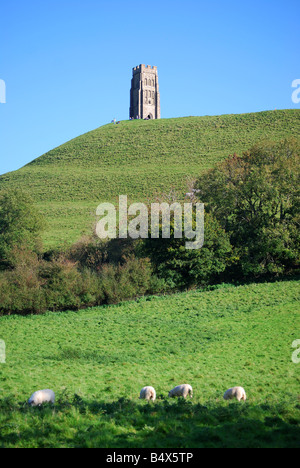 St.Michael Turm auf Glastonbury Tor, Glastonbury, Somerset, England, Vereinigtes Königreich Stockfoto