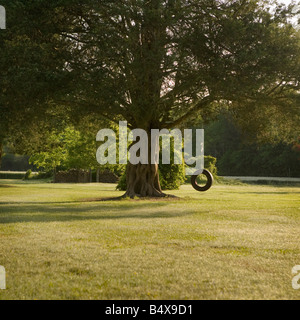 Reifenschaukel hängen von Baum Stockfoto