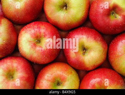 Rote Äpfel Stockfoto