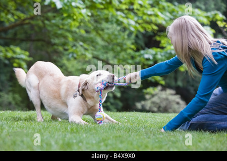 Mädchen spielen Tauziehen mit Hund Stockfoto