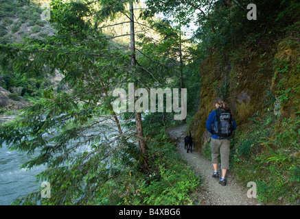 Wanderer und Hund auf Waldweg Stockfoto