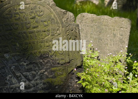 Grabsteine auf dem Friedhof Stockfoto