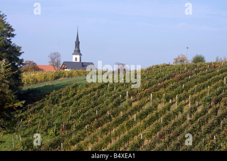 Landschaft der Weinberge im Herbst mit Kirche im Hintergrund. Stockfoto
