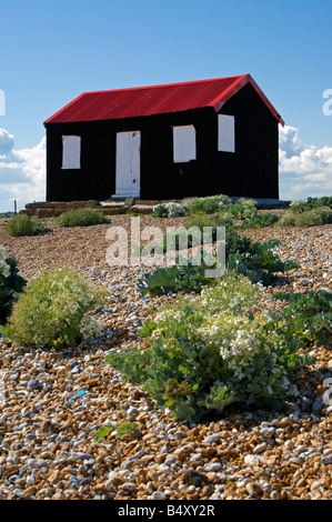 eine Hütte mit einem roten Dach im Hafen von Roggen Stockfoto