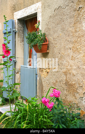 Blumentopf auf Wand des Hauses mit blauen Tür Stockfoto