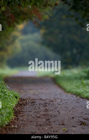 leere Parkland Wanderweg im Lagan Valley Regionalpark Herbstmorgen im Nebel County down Nordirland Vereinigtes Königreich