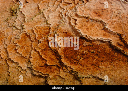 Geothermische Formationen & Farben erstellt durch mikrobielle Aktivität und Mineralvorkommen im Upper Geyser Basin Yellowstone Park Stockfoto