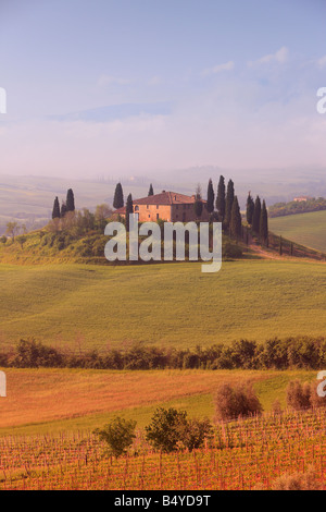 Blick über Tal Val D'orcia, in der Nähe von Pienza, Toskana, Italien Stockfoto