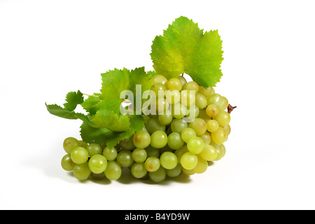 grüne Trauben, isoliert auf weiss Stockfoto