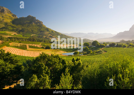 Landschaft, Stellenbosch, Western Cape, Südafrika Stockfoto