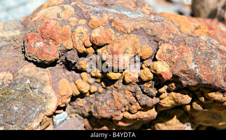 Der verbrannte Berg Rock Nahaufnahme in Twyfelfontein Damaraland Namibia Stockfoto