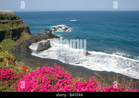 Der schwarze Sandstrand am Playa El Bollullo in der Nähe von Puerto de la Cruz auf Teneriffa - gilt als einer der schönsten Strände der Insel. Stockfoto