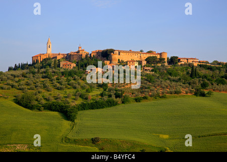 Am frühen Morgen Blick Richtung Pienza, Toskana, Italien Stockfoto