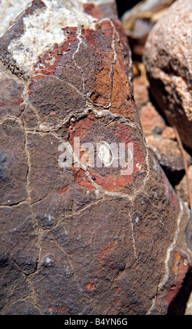 Der verbrannte Berg Rock Nahaufnahme in Twyfelfontein Damaraland Namibia Stockfoto