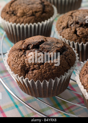 Chocolate Chip Muffins auf einem Kuchengitter abkühlen Stockfoto