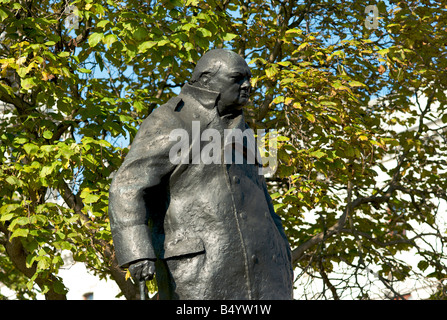 Bronze-Statue von Sir Winston Churchill im Parliament Square, mit Blick auf die Hiouse von Commons in London UK Stockfoto