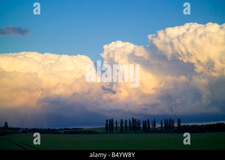 Gewitterwolken erheben über eine Reihe von Pappeln in North Kent England Stockfoto