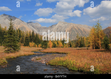 Highwood Meadows Trail im Herbst, Kananaskis Country, Alberta Stockfoto