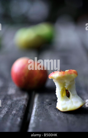 Apfel-Kern auf hölzernen Gartentisch gegenübergestellt gefressenes Äpfel Stockfoto
