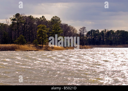 Easterneck National Wildlife Refuge Stockfoto