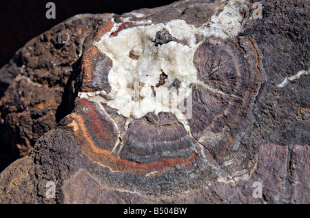 Der verbrannte Berg Rock Nahaufnahme in Twyfelfontein Damaraland Namibia Stockfoto