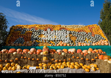 Jährliche farbenfrohe Ausstellung von Kürbissen in Slindon, West Sussex, Großbritannien Stockfoto