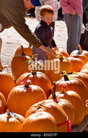 South Hero Apfelfest findet Anfang Oktober in der Lake Champlain Islands Vermont Stockfoto