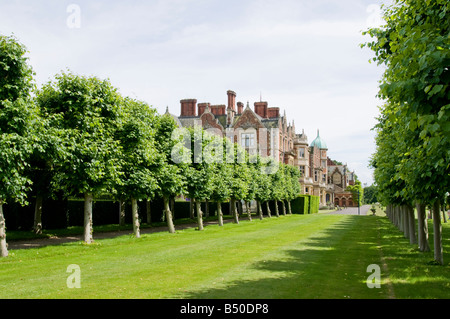 Die gebleichten Lindenallee auf die Nordansicht von Sandringham Haus Sandringham Norfolk England von den formalen Gärten Stockfoto