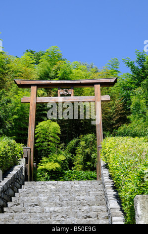 Der japanische Garten in der schönen Villa Carlotta am Comer See in Norditalien Stockfoto