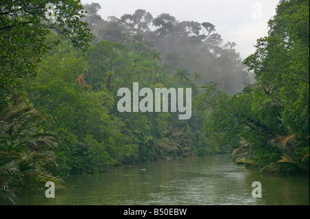 Fluss und Regenwald im Similajau Nationalpark nr Bintulu Sarawak Malaysia Stockfoto